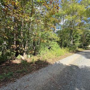 Photo #2 of Lot 25 Cutlass Road, Moneta, VA 0.5 acres