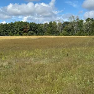 Photo #6 of Smith Mountain Lake Parkway, Huddleston, VA 4.4 acres