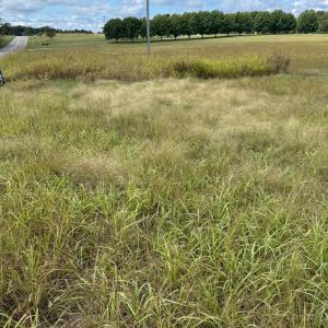 Photo #3 of Smith Mountain Lake Parkway, Huddleston, VA 4.4 acres