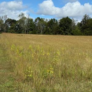 Photo #5 of Smith Mountain Lake Parkway, Huddleston, VA 4.4 acres