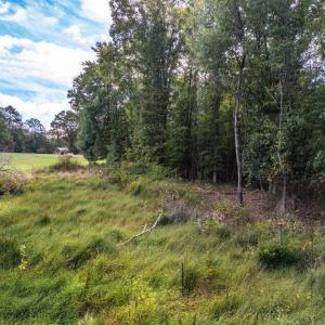 Photo #17 of Pauls Road, Rustburg, VA 11.5 acres