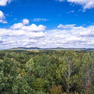 Photo #18 of Pauls Road, Rustburg, VA 11.5 acres