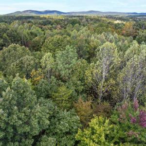 Photo #19 of Pauls Road, Rustburg, VA 11.5 acres