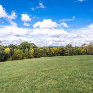 Photo #14 of Pauls Road, Rustburg, VA 11.5 acres