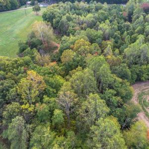 Photo #16 of Pauls Road, Rustburg, VA 11.5 acres