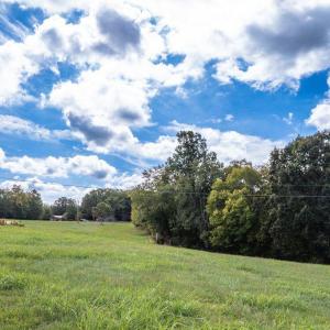 Photo #21 of Pauls Road, Rustburg, VA 11.5 acres