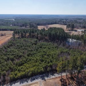 Photo #4 of Sturgeon Road, Dolphin, VA 11.2 acres