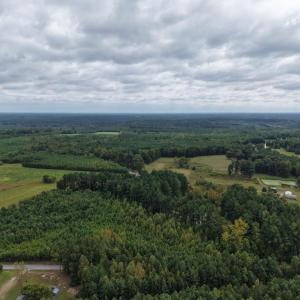 Photo #6 of Sturgeon Road, Dolphin, VA 11.2 acres
