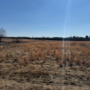 Photo #5 of Sturgeon Road, Dolphin, VA 11.2 acres