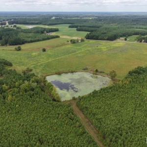 Aerial View of All Acreage
