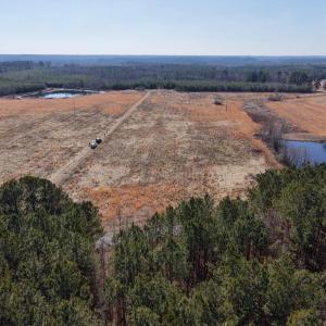 Photo #4 of Great Oak Rd Road, Dolphin, VA 10.0 acres