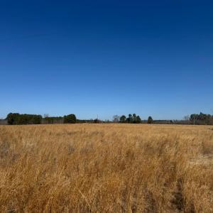 Photo #5 of Great Oak Rd Road, Dolphin, VA 10.0 acres