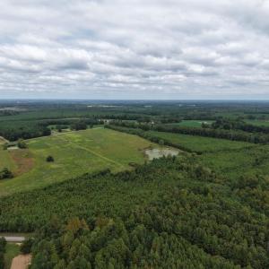 Photo #6 of Great Oak Rd Road, Dolphin, VA 10.0 acres