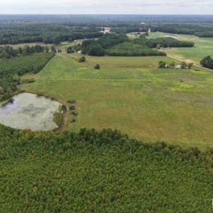 Aerial View of All Acreage