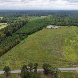 Photo #2 of Great Oak Rd Road, Dolphin, VA 18.8 acres