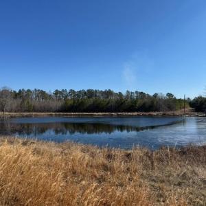 Photo #8 of Great Oak Rd Road, Dolphin, VA 18.8 acres