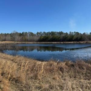 Photo #6 of Great Oak Rd Road, Dolphin, VA 18.8 acres