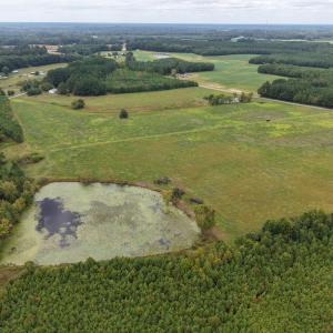 Photo #3 of Great Oak Rd Road, Dolphin, VA 18.8 acres