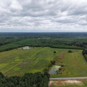 Photo #1 of Great Oak Rd Road, Dolphin, VA 18.8 acres