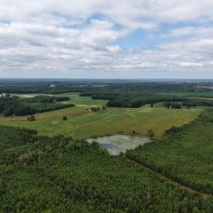Photo #13 of Great Oak Rd Road, Dolphin, VA 18.8 acres