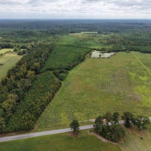 Photo #6 of Great Oak Rd Road, Dolphin, VA 10.8 acres