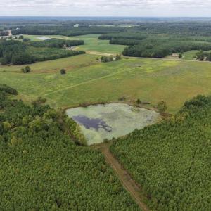 Photo #4 of Great Oak Rd Road, Dolphin, VA 10.8 acres