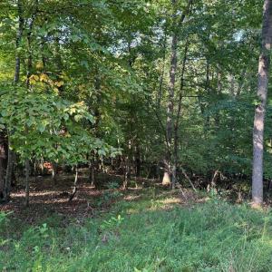 Photo #2 of 2 Cedar Bluff, Hardy, VA 0.5 acres