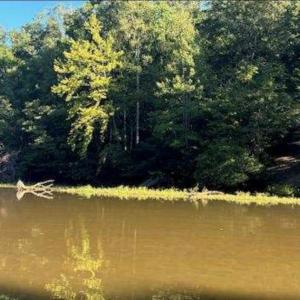 Photo #7 of 2 Cedar Bluff, Hardy, VA 0.5 acres