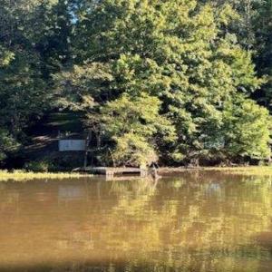 Photo #8 of 2 Cedar Bluff, Hardy, VA 0.5 acres