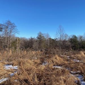 Photo #2 of Wright Shop Road, Madison Heights, VA 1.0 acres