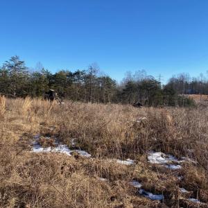 Photo #4 of Wright Shop Road, Madison Heights, VA 1.0 acres