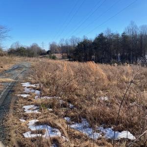 Photo #3 of Wright Shop Road, Madison Heights, VA 1.0 acres
