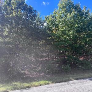 Photo #5 of Gallows Road, Gretna, VA 12.4 acres