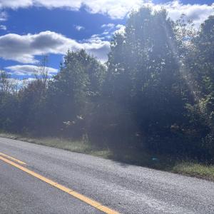 Photo #4 of Gallows Road, Gretna, VA 12.4 acres