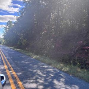 Photo #8 of Gallows Road, Gretna, VA 12.4 acres