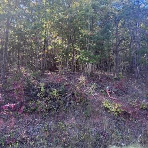Photo #7 of Gallows Road, Gretna, VA 12.4 acres