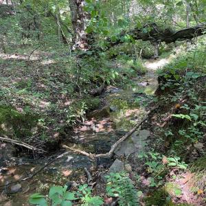 Photo #31 of Tin Top Place, Concord, VA 20.1 acres