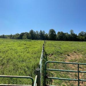 Photo #7 of Tin Top Place, Concord, VA 20.1 acres