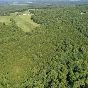 Photo #26 of Tin Top Place, Concord, VA 20.1 acres