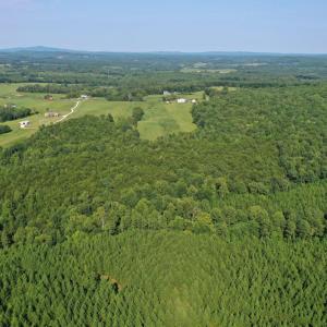 Photo #13 of Tin Top Place, Concord, VA 20.1 acres