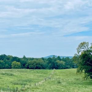 Photo #1 of Tin Top Place, Concord, VA 20.1 acres