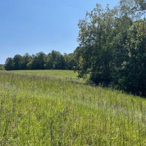 Photo #18 of Tin Top Place, Concord, VA 20.1 acres