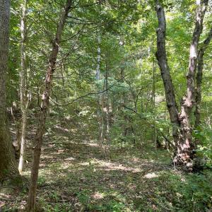 Photo #33 of Tin Top Place, Concord, VA 20.1 acres
