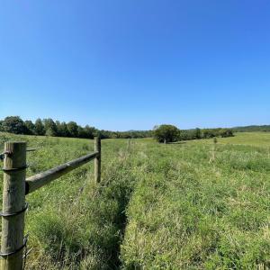 Photo #12 of Tin Top Place, Concord, VA 20.1 acres
