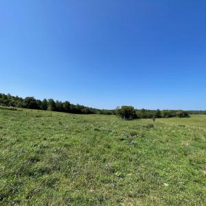 Photo #11 of Tin Top Place, Concord, VA 20.1 acres