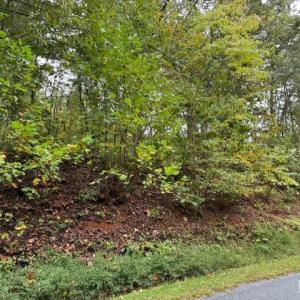 Photo #4 of Deer View Road, Gretna, VA 37.1 acres