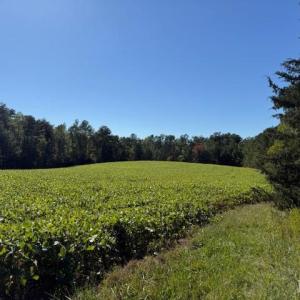 Photo #5 of Deer View Road, Gretna, VA 37.1 acres