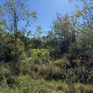 Photo #6 of Deer View Road, Gretna, VA 37.1 acres
