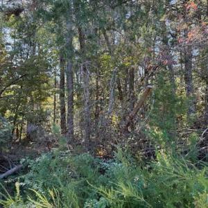 Photo #7 of Deer View Road, Gretna, VA 37.1 acres