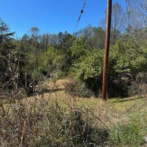 Photo #3 of 3948 Peace Street, Lynchburg, VA 0.9 acres